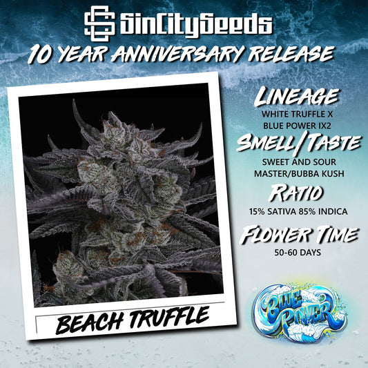 Sin City Seeds - Beach Truffle