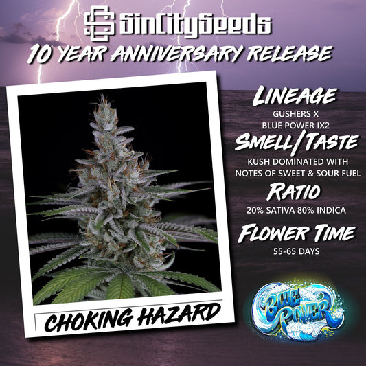 Sin City Seeds - Choking Hazard