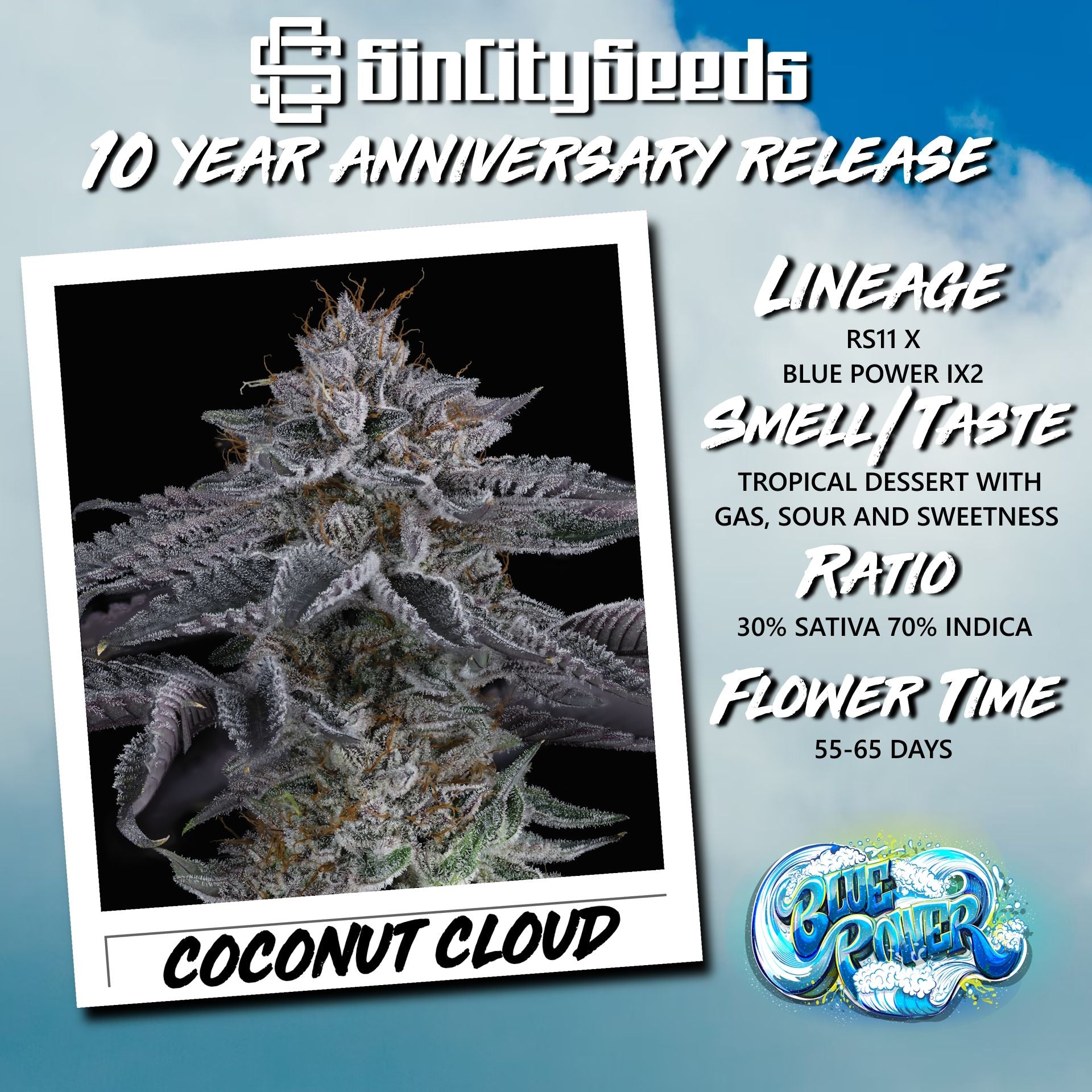 Sin City Seeds - Coconut Cloud