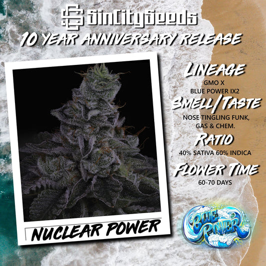 Sin City Seeds - Nuclear Power