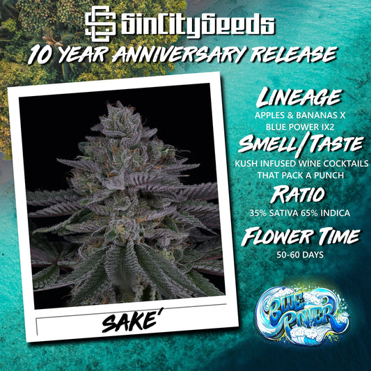 Sin City Seeds - Sake